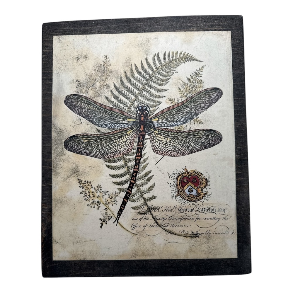 Regal Dragonfly Wooden Hanging Wall Art Decor 9x11 inches